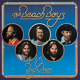 The Beach Boys - 15 Big Ones (boxed)