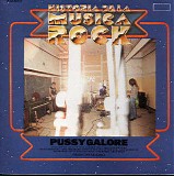 Pussy Galore - Historia De La Musica Rock