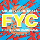 Fine Young Cannibals - She Drives Me Crazy