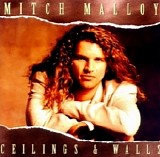 Mitch Malloy - Ceilings & Walls