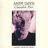 Andy Davis - Clevedon Pier