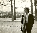 David Sylvian - Brilliant Trees