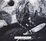 David Sylvian - Secrets Of The Beehive