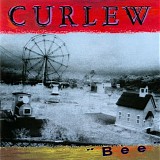 Curlew - Bee