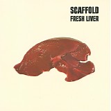 Scaffold - Fresh Liver