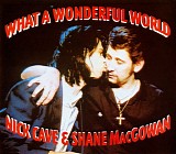 Nick Cave & Shane MacGowan - What a Wonderful World