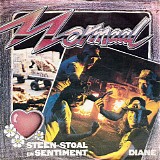 Normaal - Steen, Stoal En Sentiment