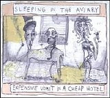 Sleeping In The Aviary - Expensive Vomit In A Cheap Hotel