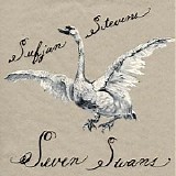 Sufjan Stevens - Seven Swans