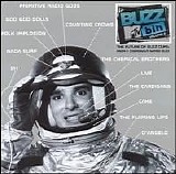 Various artists - MTV Buzz Bin Volume 2