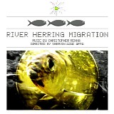 Christopher Renna - River Herring Migration