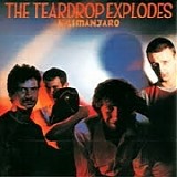 The Teardrop Explodes - Kilimanjaro