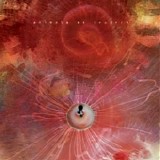 Animals as Leaders - The Joy of Motion