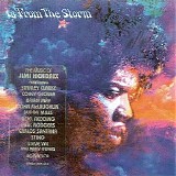 Various artists - In From The Storm - The Music Of Jimi Hendrix