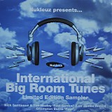 Nick Sentience & Tim Healey / Champion Burns - International Big Room Tunes Sampler