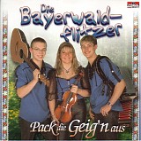 Die Bayerwaldflitzer - Pack Die Geig'n Aus