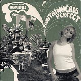 Fountainheads - *** R E M O V E ***Perfect