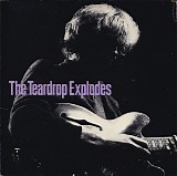 Teardrop Explodes, The - You Disappear From View