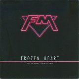 FM - Frozen Heart