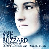 Robin Guthrie & Harold Budd - White Bird In A Blizzard