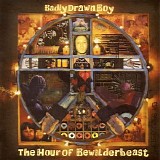 Badly Drawn Boy - The Hour of Bewilderbeast