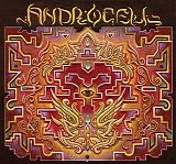 Androcell - Imbue