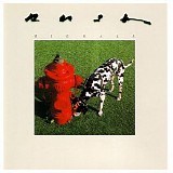 Rush - Signals