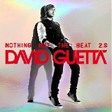 Various artists - Nothing But the Beat 2.0