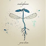 Audiafauna - Grow Down