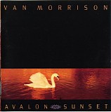 Van Morrison - Avalon Sunset