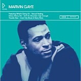 Gaye, Marvin - Icons