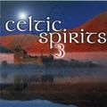 Various artists - Celtic Spirits 3 [Disc 2]