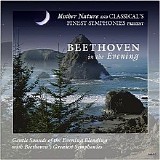 Various artists - Beethoven In The Evening