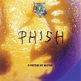 Phish - Picture of Nectar