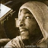 Marvin Gaye + Pink Floyd - Requiem For a Dream ( Unreleased Album)