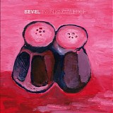 BEVEL - twin knowledge