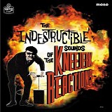 The Kneejerk Reactions - The Indestructible Sounds of the ...