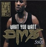 DMX - What You Want