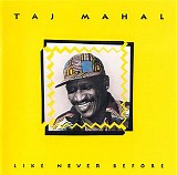 Taj Mahal - Like Never Before