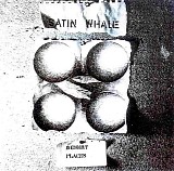 Satin Whale - Desert Places