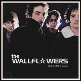 The Wallflowers - Red Letter Days