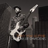 Tony MacAlpine - Concrete Gardens