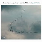 Marcin WASILEWSKI Trio - 2014: Spark of Life