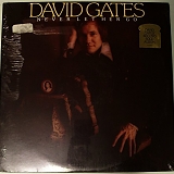 David Gates - Never Let Her Go