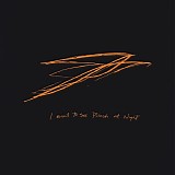 Andrew Bird - I Want To See Pulaski At Night