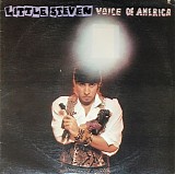 Little Steven And The Disciples Of Soul - Voice Of America