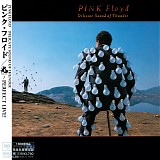 Pink Floyd - Delicate Sound Of Thunder