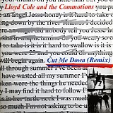 Lloyd  Cole & the Commotions - Cut Me Down (Remix)