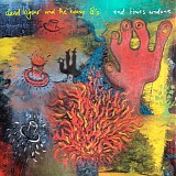 David Kilgour & The Heavy Eights - End Times Undone