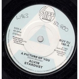 Alvin Stardust - A Picture Of You